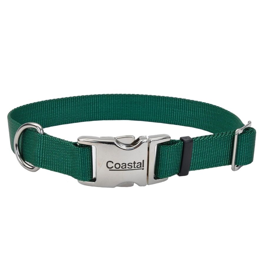 Collar adjustable dog with metal buckle, hunter